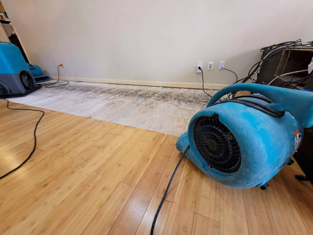 Professional Basement Flood Cleanup technician working in Alba, MO